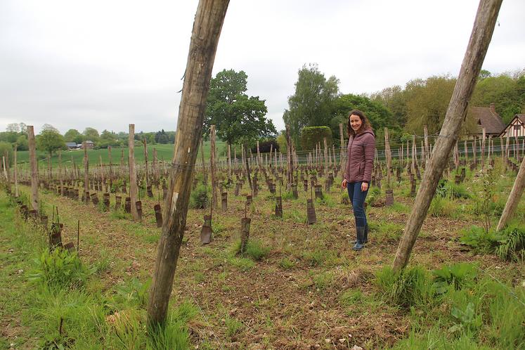 Axelle Piednoël a décroché un BTS viti-œnologie et a effectué de nombreux stages (Côteaux du Layon, Chinon, Alsace, Vaucluse...) pour appréhender les différentes méthodes de vinification.
