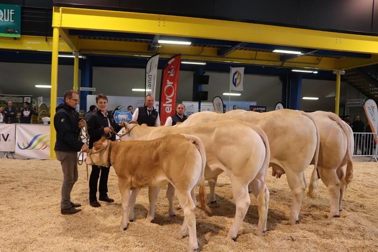 En tout, 25 Blondes d'Aquitaine issus de huit élevages du Calvados ont foulé le ring virois. C'est le Gaec de l'Hôpital qui s'est vu remettre le prix d'élevage 2024.