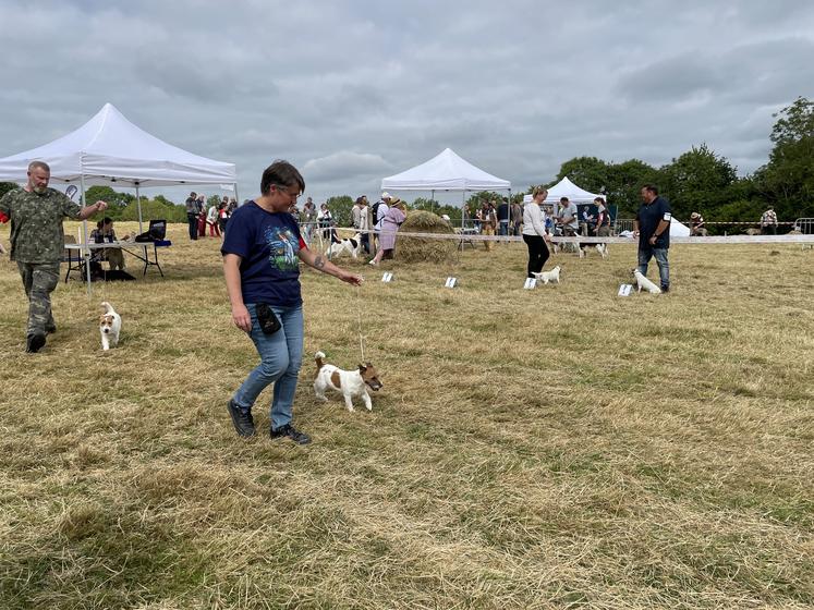 Pas moins de 500 chiens étaient sur le terrain, dont certains en concours régional d'élevage (Jocks Russell, Braques de Weimar, Epagneuls français).