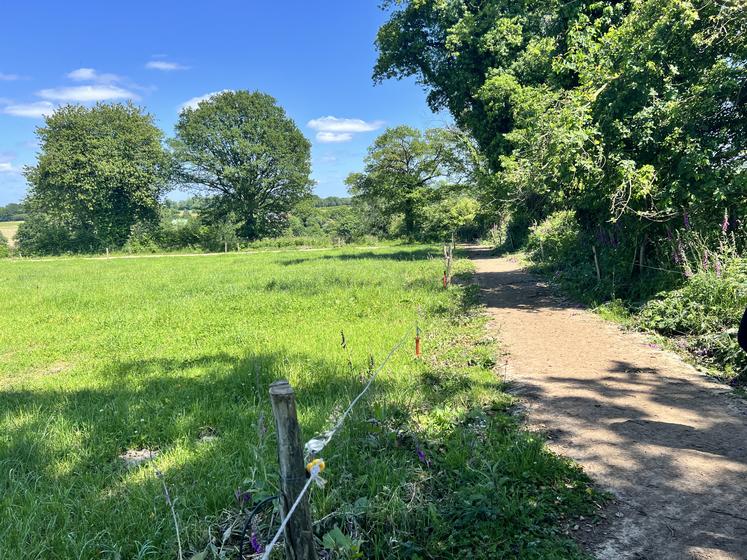 Le parcellaire est pratiquement regroupé en totalité autour de la ferme, permettant aux éleveurs de créer des chemins bétonnés de 2 m de large sur environ 1,5 km, réfléchis avec Patursens.