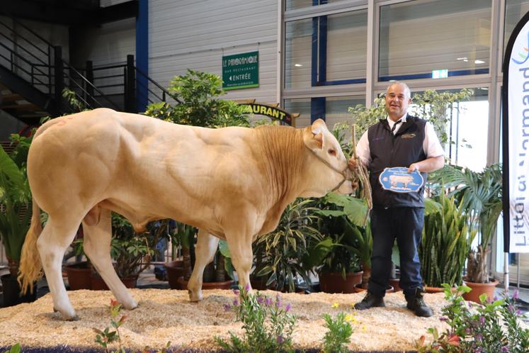 Côté Blondes d'Aquitaine, c'est Franck Lemarignier, président du syndicat de race, qui repart avec la médaille d'or du concours. Avec Ulan, il remporte les titres de champion jeune mâle et de champion suprême.