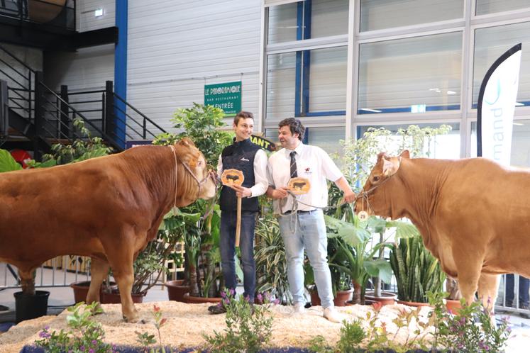 Bravo à Valentin Flajolet (Gaec de Tolleville) qui remporte le prix du meilleur mâle qualifié avec Twix TD et Nicolas Langin (Gaec de la Vicomté d'Auge) avec Little, meilleure femelle qualifiée.