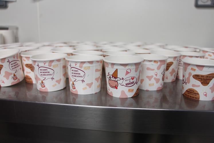 Petits pots glaces Earl des croûtes