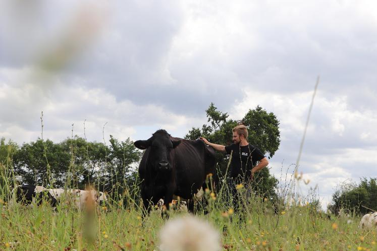 Romain Maroquesne est éleveur laitier bio à Clinchamps-sur-Orne.