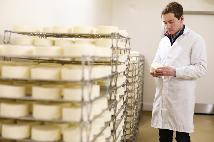 Ici, 7 000 camemberts sont produits chaque semaine par la fromagerie de Beaumoncel gérée par Arthur Danière.