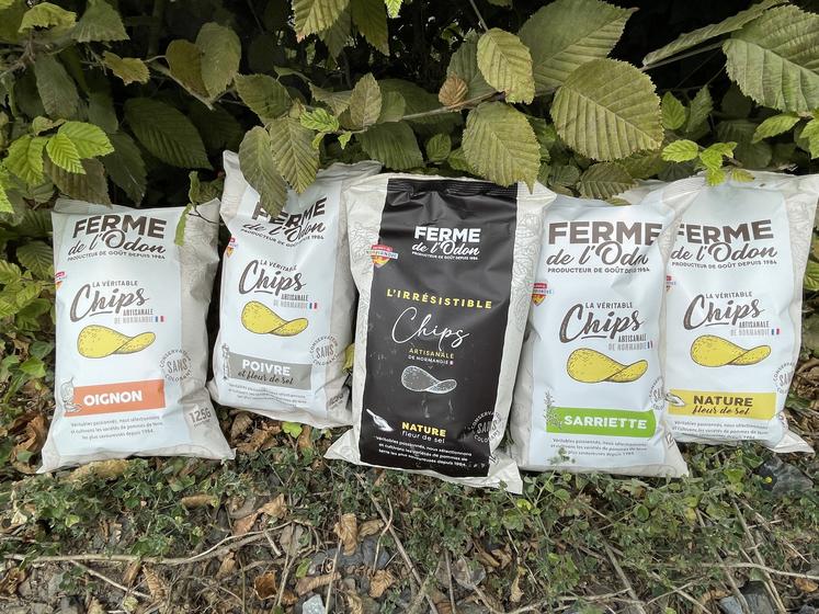 L'entreprise diversifie sa production avec une gamme de chips produites depuis avril 2024.