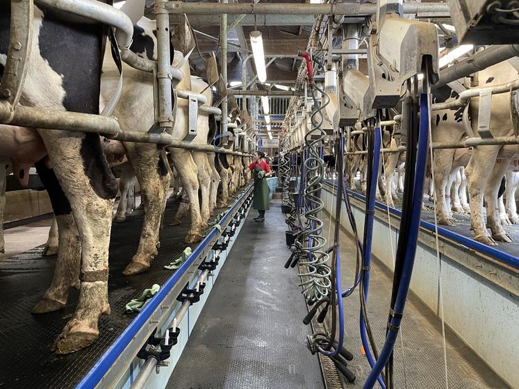 Avec l'achat d'un nouveau site, Arthur Danière a augmenté son cheptel à 200 vaches, 60 % Normandes et 40 % Prim'Holsteins. Au début, il avait 90 Prim'Holsteins.