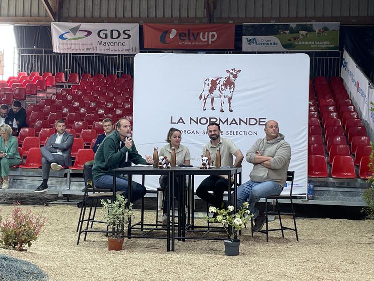 La commission technique présidée par Sylvain Quellier, éleveur ornais, travaille sur le standard de la race pour créer la Normande de demain, celle qui correspond aux besoins des éleveurs et de la filière, tout en les accompagnant techniquement.