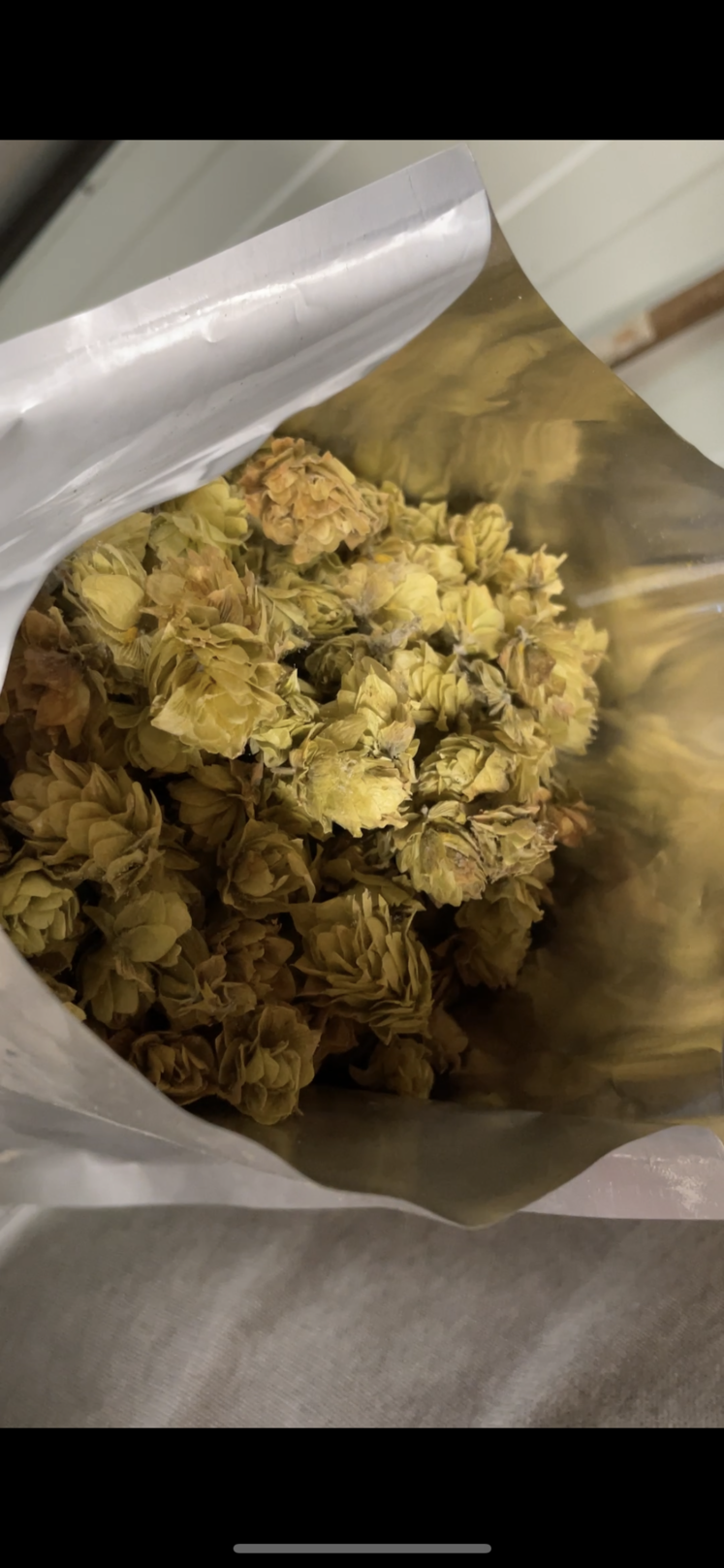 Sur le houblon, seuls les cônes sont utilisés pour la production brassicole.