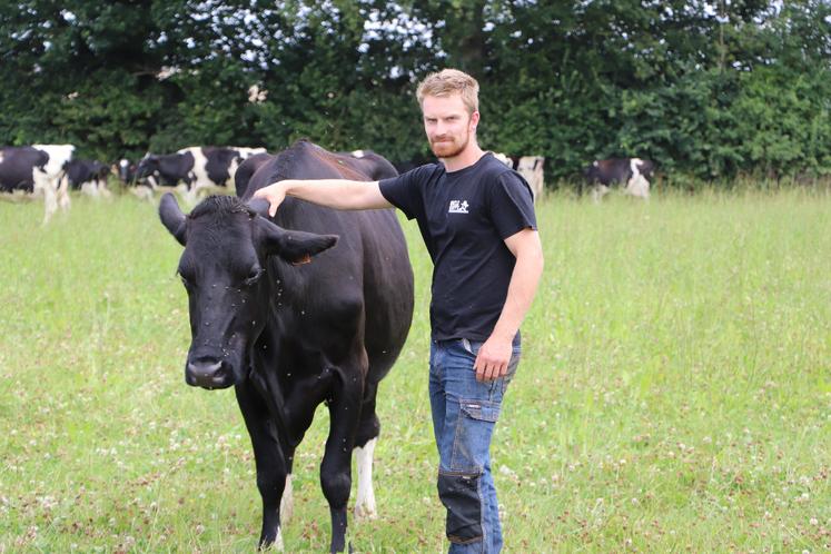 Il élève des Prim'Holsteins, mais entend faire progresser le troupeau avec des Brunes des Alpes par exemple.