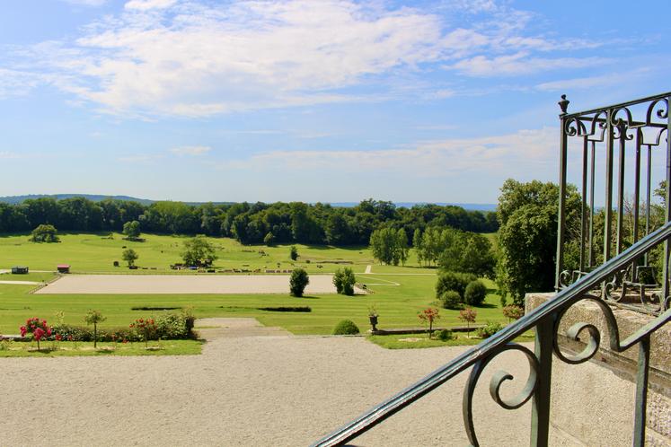 Le Pôle international de sports équestres du Haras national du Pin accueille l'équipe néo-zélandaise de concours complet depuis le 18 juillet.