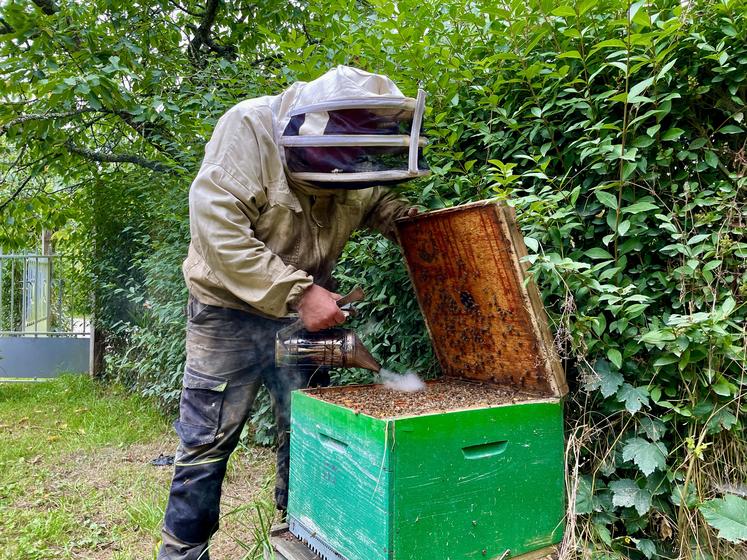 Le fumoir simule un incendie, pour que les abeilles sortent de la ruche.