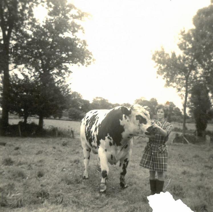 Régine et le taureau.