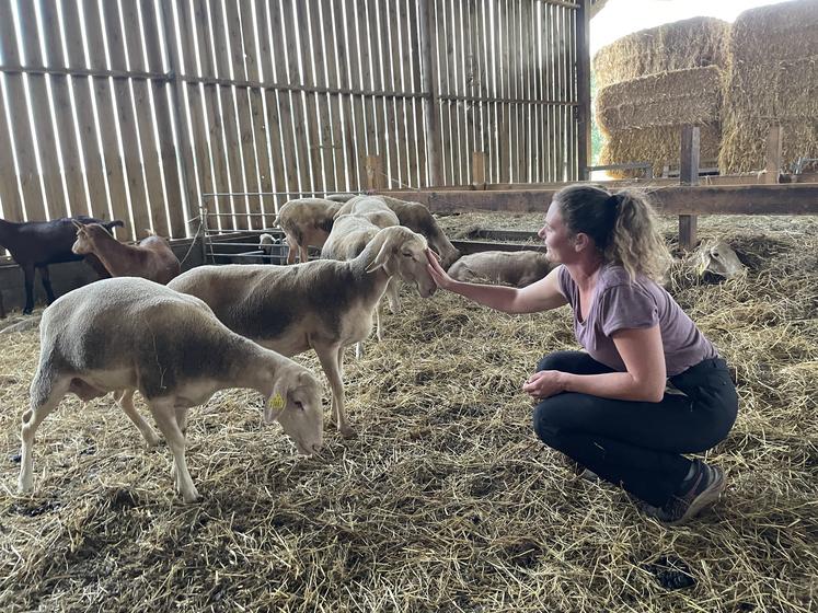 Laura passe du temps dans sa bergerie. Elle y est épanouie au milieu de son troupeau.