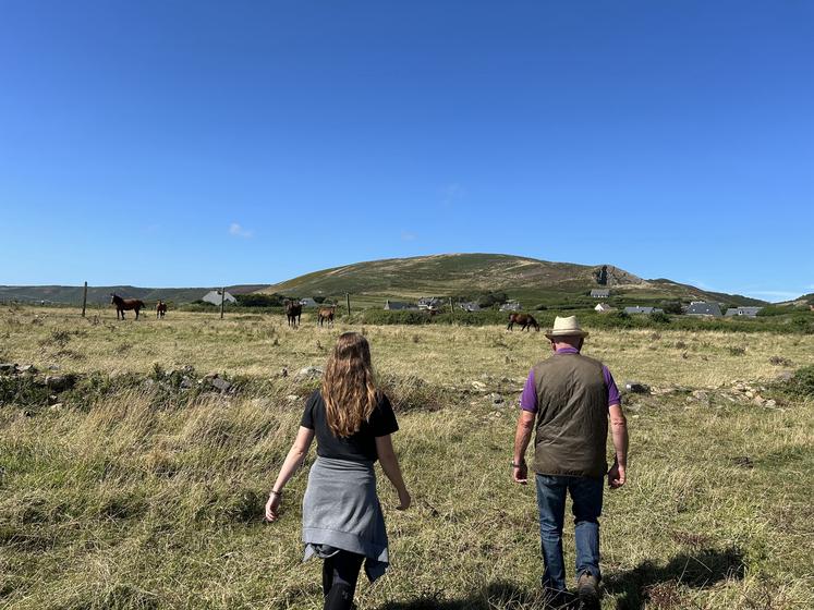 Bruno Paysant et sa nièce, Delphine, arpentent les landes de Vauville pour surveiller leur troupeau de Cobs normands.