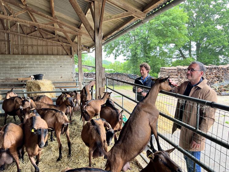 Flavien Rigot, à gauche, est éleveur d'Alpines. Il a reçu la visite de la Région en la personne de Thierry Liger, en mai dernier.