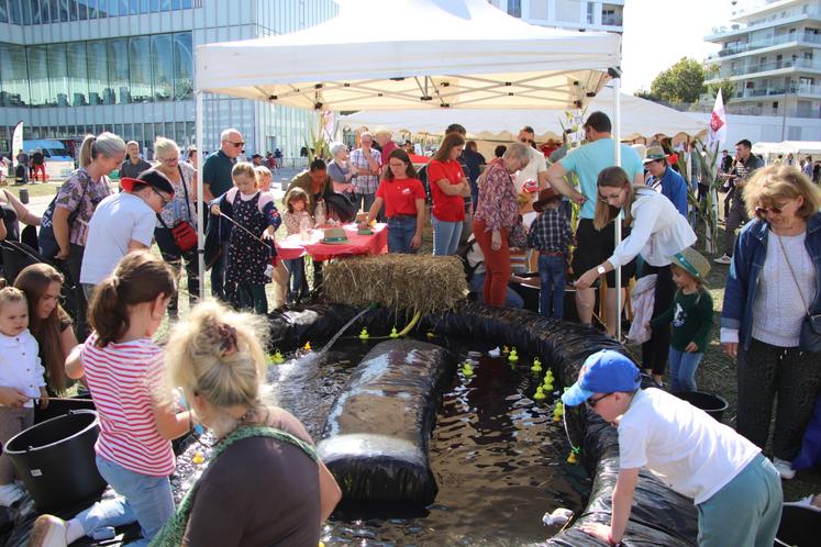 Comme toujours, la pêche aux canards (et aux vaches, oui oui), organisée par les JA, a fait sensation avec 620 ateliers...