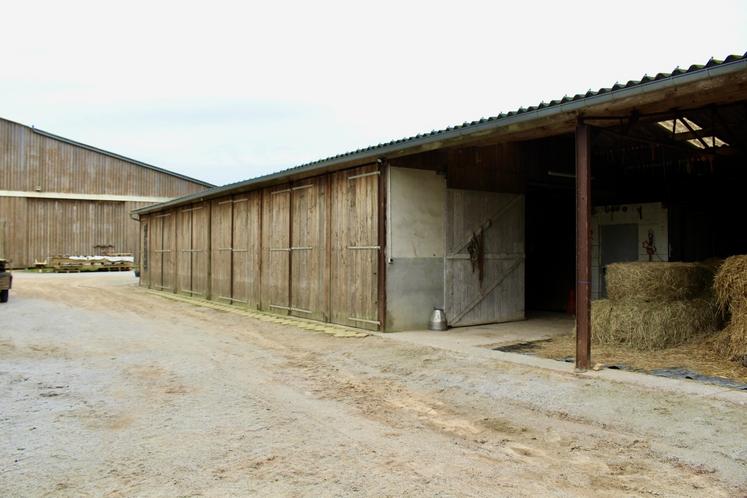 Treize chevaux peuvent être accueillis chez Pauline Duplenne.