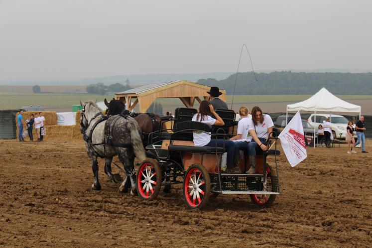 Afin de parcourir les 45 ha, quoi de mieux que les Percherons ?