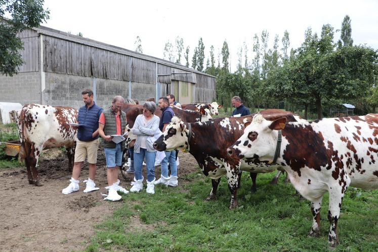 Les adhérents de l'association des éleveurs de bovins de race Normande du Calvados se sont retrouvés pour une journée en élevage. Au total, une quarantaine de personnes a fait le déplacement.