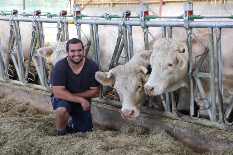 Jean-Baptiste Filmont amènera cinq animaux au concours interrégional Charolais.