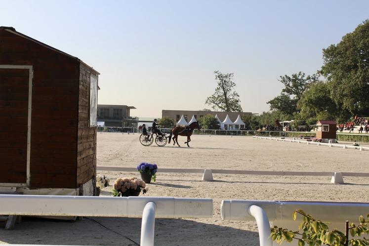 Mondial de l'attelage, septembre 2024 haras du pin