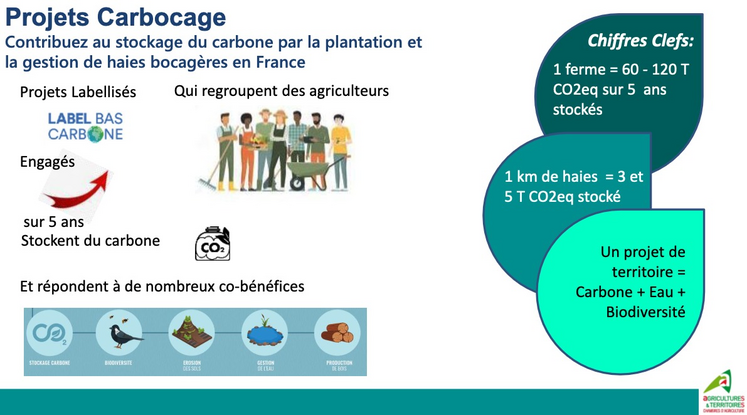 Le projet Carbocage a l'ambition d'engager les territoires dans la gestion durable des haies, permettant le stockage du carbone émis.