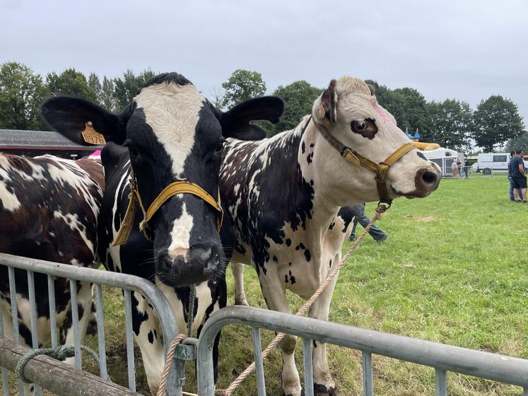 L'agriculture manchoise reste un élément majeur de l'économie. À la foire de Lessay, aucun sujet ne sera oublié par les responsables qui rencontreront élus, partenaires, agriculteurs ou encore le grand public.