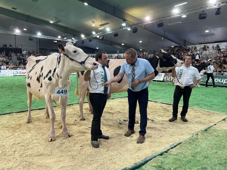 Deux Normands se sont retrouvés sur le carré magique : Sapotille de l'Orangerie (Orne), meilleure championne espoir au SIA 2024, et la Manchoise, Saturne du Gaec du Tertre.