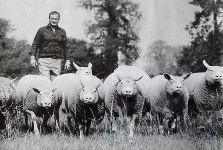 Pour la race Cotentine, Jean-Yves Lécuyer, décédé à 84 ans, était un fervent défenseur.