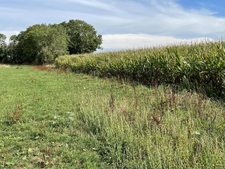 Face aux contraintes climatiques, il est nécessaire de s'adapter.