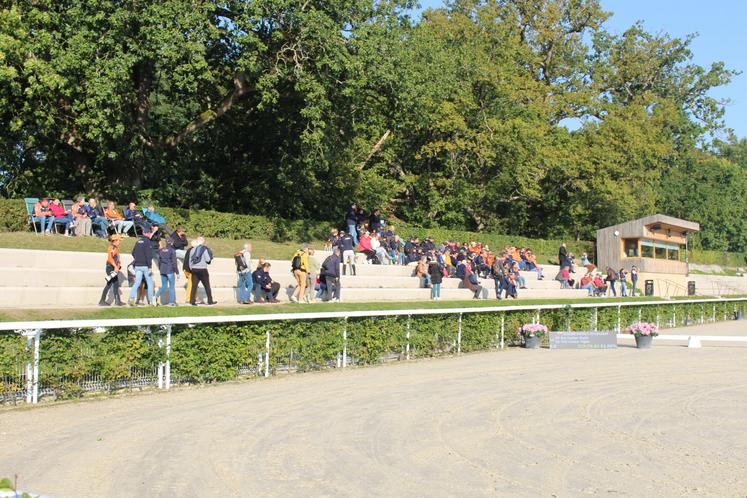 Mondial de l'attelage, septembre 2024 haras du pin