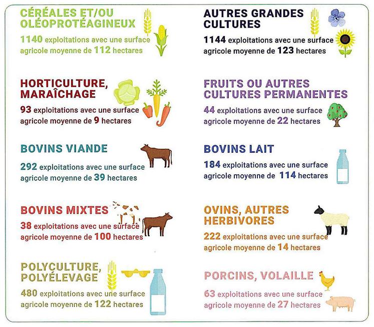 L'Eure se classe 2e producteur de lin en France, 2e producteur de betteraves sucrière en Normandie et 10e département en France, 5e département producteur de plants de pomme de terre, 8e département producteur de céréales et oléoprotéagineux.