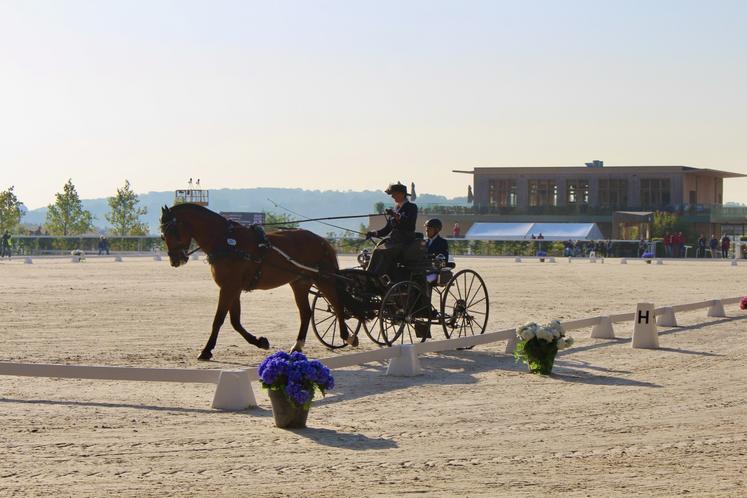 Le mondial de l'attelage, c'était la semaine dernière au Haras du Pin.