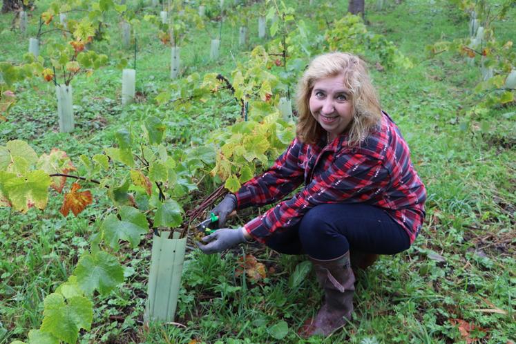 "Je n'ai jamais perdu mon lien terrien, ni le bon sens paysan", se plaît à dire Marie-France Mugnier. La néo-vigneronne, qui se dit "femme d'action", cultive des vergers hautes tiges et 3 500 plants de vignes, sur son coteau improvisé à Blangy-le-Château.