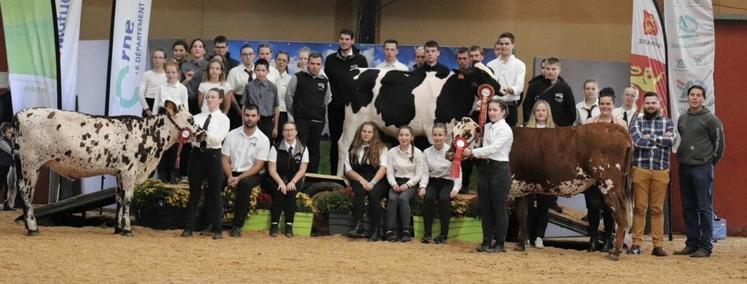 Les concours vont s'enchaîner sur le ring.