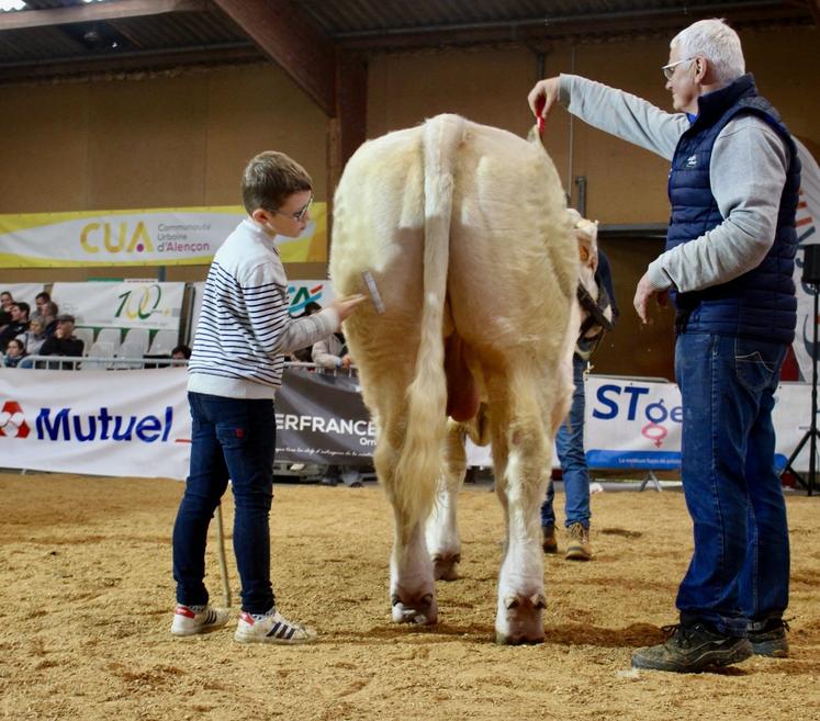 Le concours de jugement de bétail sera réitéré cette année encore.