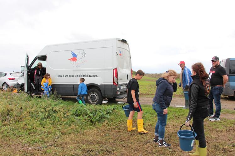 Les pommes de terre glanées sont à destination de l'association Secours populaire.