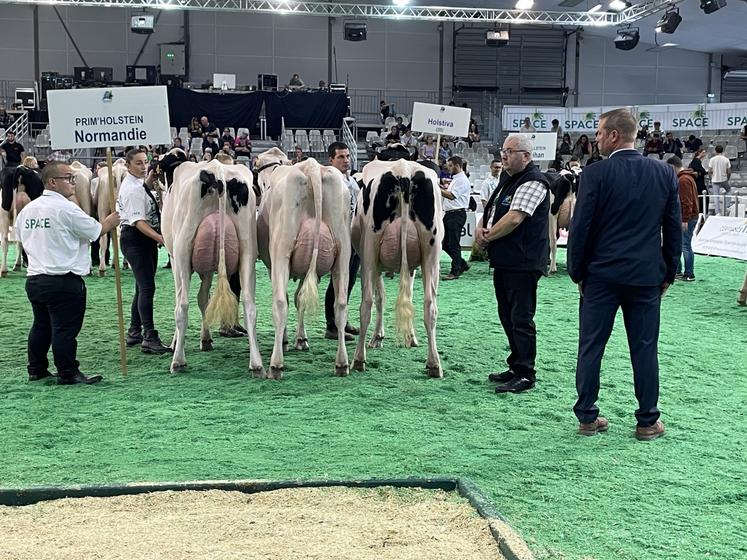 Au Space, les Normands ont rappelé l'organisation du concours national en 2025. Pas moins de 300 vaches sont attendues.