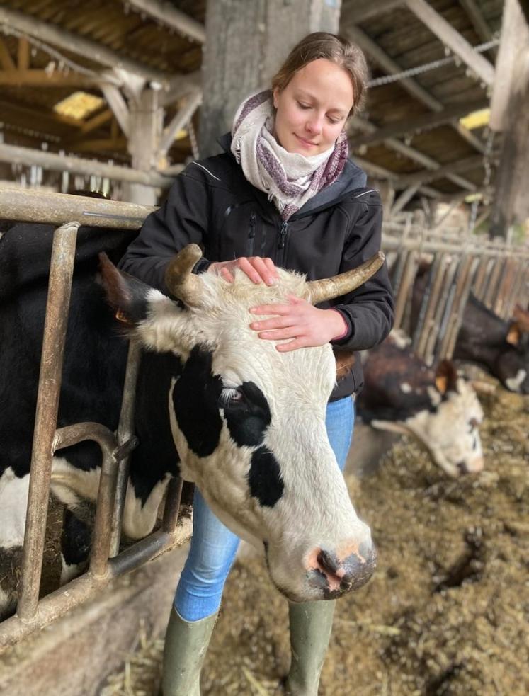 "Les vaches comprennent qu'on leur veut du bien."