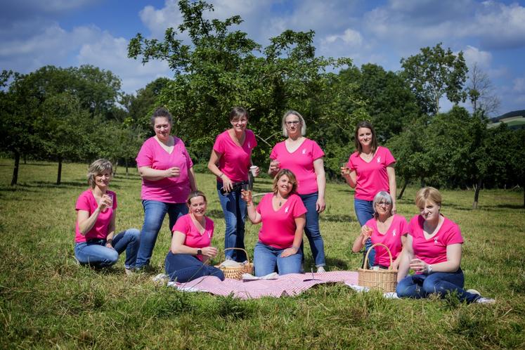 Le groupe d'agricultrices de l'antenne de Vire (Chambres d'agriculture), sous l'impulsion de Céline Juhel (2e en bas à gauche) s'est lancé dans l'élaboration d'un calendrier solidaire pour octobre rose.