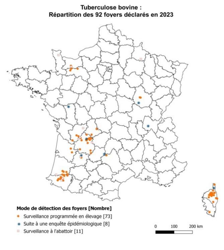 En France, 92 foyers de tuberculose bovine ont été déclarés en 2023.