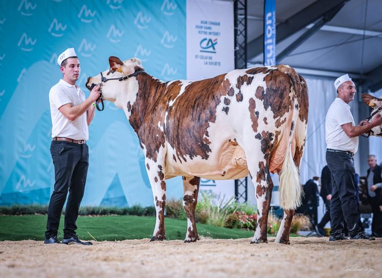 Sologne (fille de Ouijolie x Inexces), du Gaec Gosset, remporte le titre de meilleure bouchère et championne jeune, ainsi que le 1er prix de section (1re lactation) au Sommet de l'élevage.