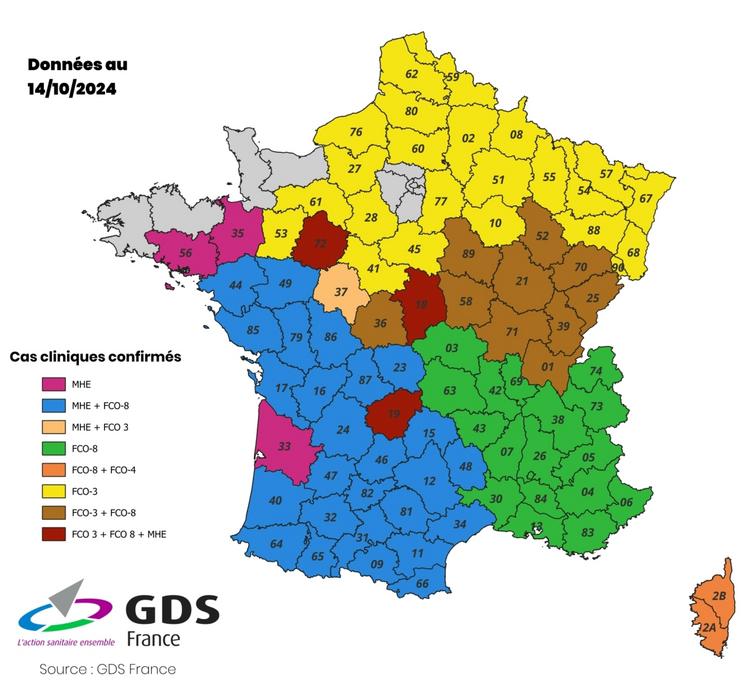 "Nous sommes sur une dynamique de développement", atteste le GDS 61.