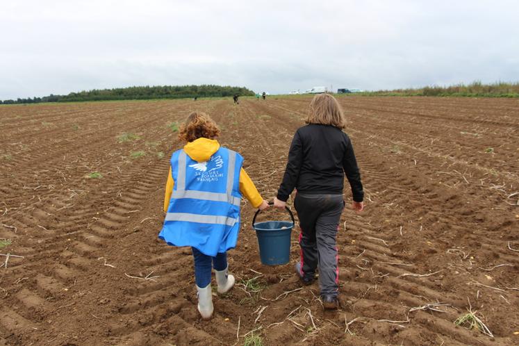 "Nous prenons les écarts et les surplus de production aussi bien que les propositions de glanage dans les champs", rappelle Lucie Jouvin en parlant de produits alimentaires collectés par Solaal.