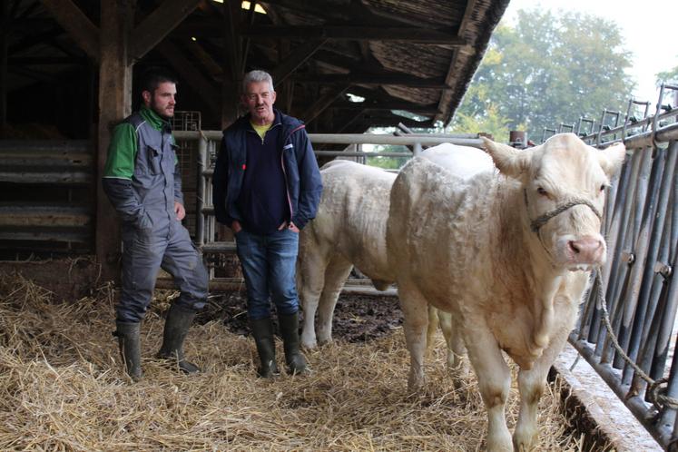 Hugues Bonhomme, président du syndicat de race Charolais de l'Orne, a rendu visite à Antoine en amont de son concours.