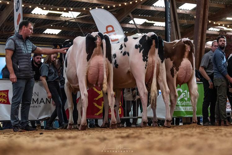 Les laitières aussi sont passées sur le ring dimanche 27 octobre. Palmarès à retrouver sur notre site internet.