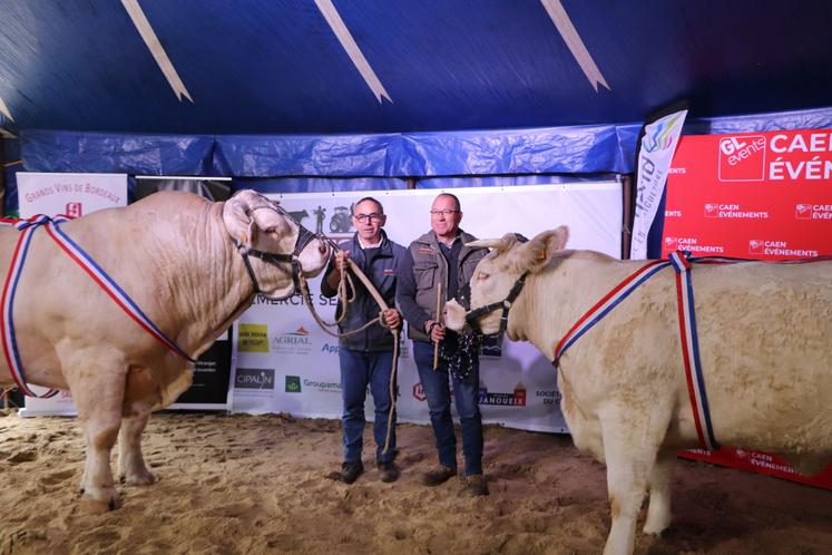 Concours interrégional Charolais 2024 Foire de Caen