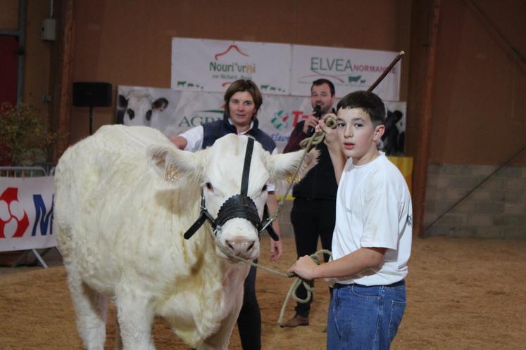 77 animaux ont défilé sur le ring lors du concours Charolais au Salon Tous paysans à Alençon.