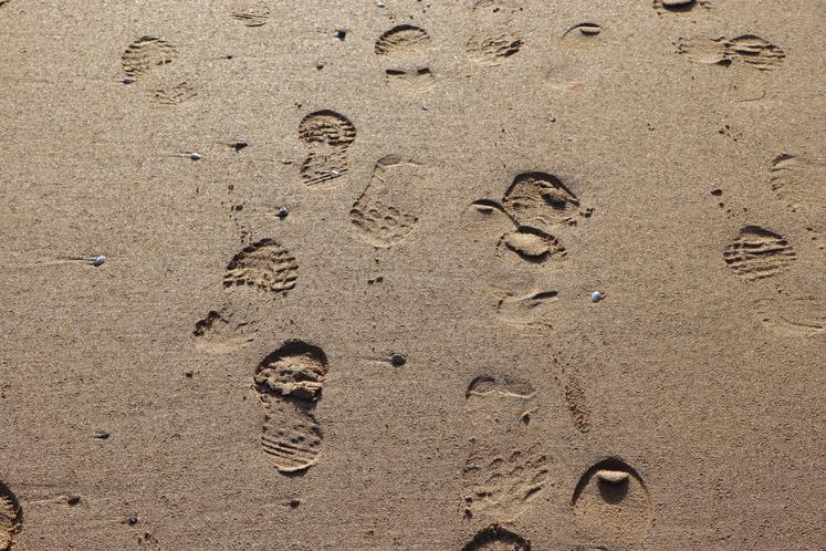 La plage d'Omaha beach est un lieu hautement symbolique, surtout en cette année de commémorations du 80e anniversaire du Débarquement en Normandie.